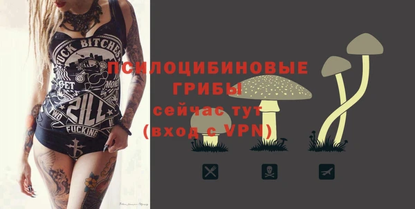 марки lsd Каменка