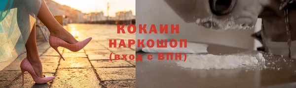 твердый Касимов