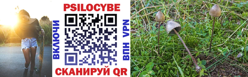 Галлюциногенные грибы MAGIC MUSHROOMS  Купить  Кондрово 